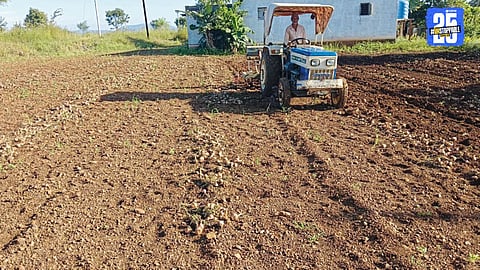A heart-wrenching sight — a farmer using a rotavator to destroy his onion crop after market prices crashed.