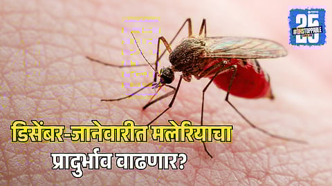 Malaria Cases Likely to Rise in December-January, Warns Dr. Abhay Bang