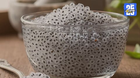 Sabja Seeds Health Benefits: सब्जा बियांचे पाच फायदे! हार्वर्डच्या डॉक्टरांचा दावा, हृदय हेल्दी अन् वजन घटणार