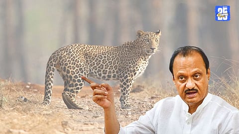 Ajit Pawar