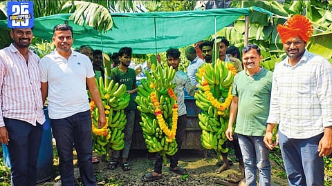 Navnath Pol’s 4-acre banana farm yields ₹32 lakh income; 60 tons exported successfully despite natural calamity.