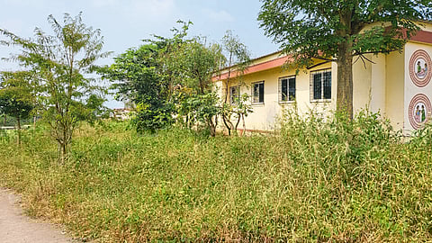 नेरे आरोग्य केंद्र गवताच्या विळख्यात