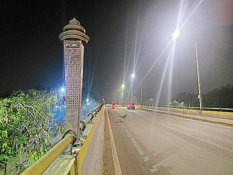 सांगवी फाटा उड्डाणपुलावर चोरट्यांची ‘वक्रदृष्टी’