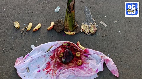 Kolhapur Aghori Incident
