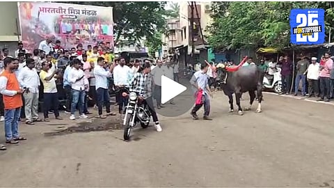 Kolhapur Buffalo Road Show