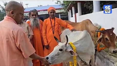 Govardhan Puja