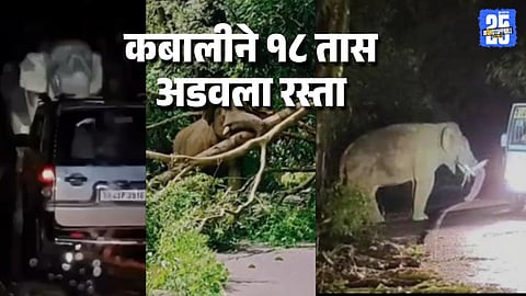 Viral Video Shows Kabali Elephant Blocking Kerala Road for 18 Hours Massive Traffic Jam Reported
