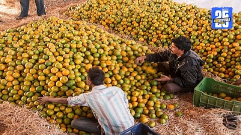 Pune Market