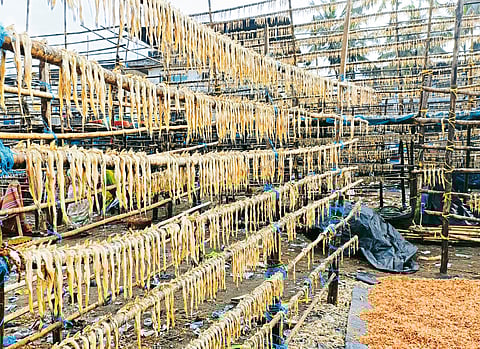 अवकाळीने मच्छीमारही चिंताग्रस्त