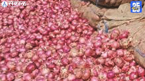 Traders unloading onion trucks at Solapur market yard; prices continue to fall despite reduced arrivals.