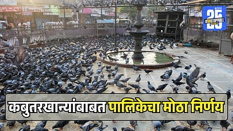 Permission for new 4 kabbutrakhana