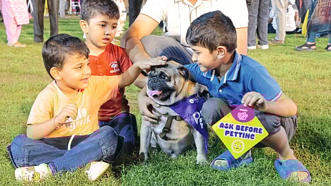 ‘सकाळ-पेटोपिया’ला प्राणीप्रेमींचा उत्स्फूर्त प्रतिसाद
- हजारो प्राणीप्रेमींनी दिली प्रदर्शनाला भेट