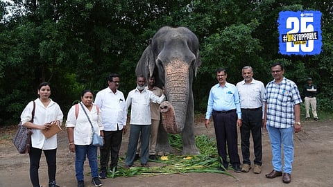 Madhuri Elephant News