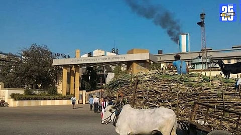 Maharashtra Sugar Crushing Season Commences