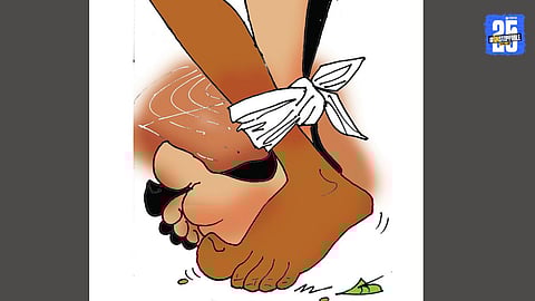 Local Self Goverment Election Stratergy