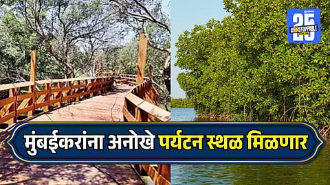Mumbai First Mangrove Park