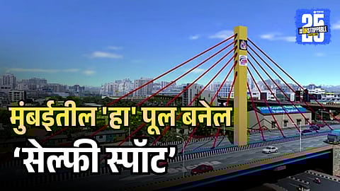 Byculla Cable Stayed Bridge