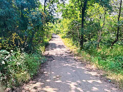 रस्त्यांची निगराणी करणार कोण?