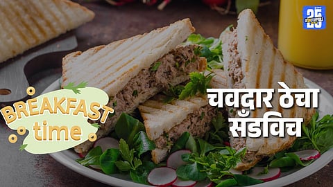 High Protein Thecha Sandwic