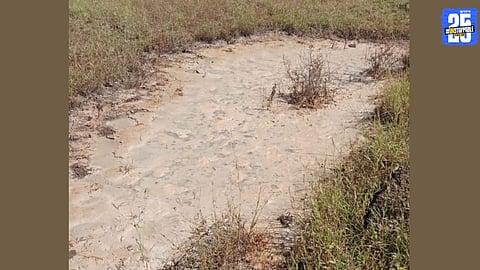 toxic spill threatens farmland and drinking water