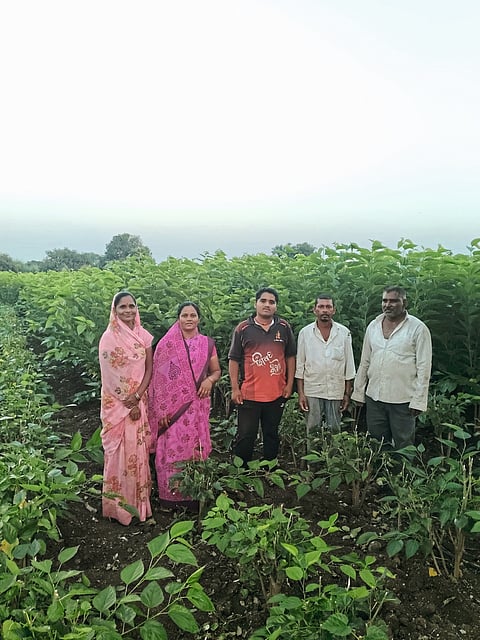 उजाड माळरानावर फुलविले ‘रेशीम’चे नंदनवन