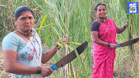 Women in Pimparkhed village wear spiked collars as protection against leopard attacks.