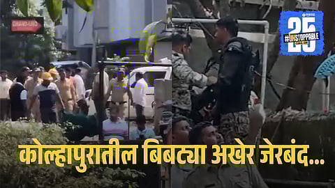 Leopard Arrest Operation