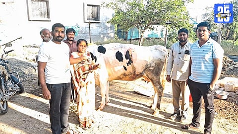 Veterinary doctors after completing the successful ‘Operation Mangalsutra’, recovering a gold chain from a cow’s stomach in Maharashtra.