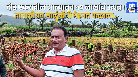 Tanajirao Salunkhe from Kiwal village showcasing his bountiful ginger harvest — a proud example of modern farming success.