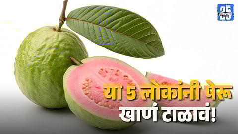 Guava Fruit For Healthy Lifestyle
