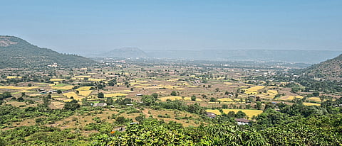 "पीक आलं काढणीला" छायाचित्र