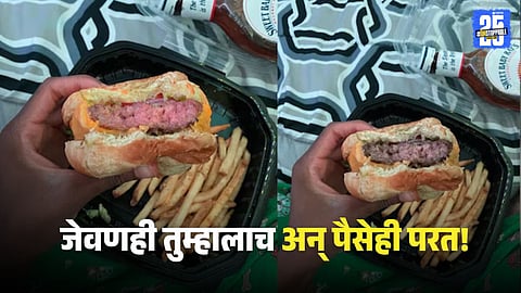 AI trick Swiggy Zomato food delivery companies facing new fraud risk by AI edited photos