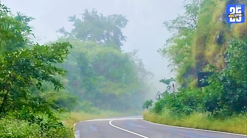 Absence of October heat brings cool breeze and scenic beauty in Pali