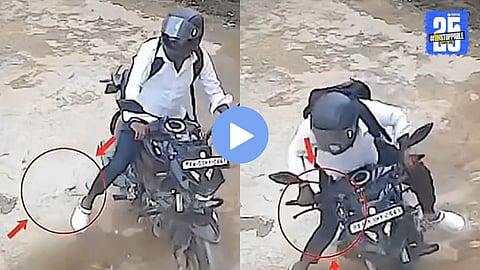 A biker accidentally runs over a king cobra, triggering a sudden retaliatory strike captured on video.