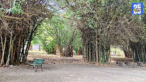 Bamboo Garden Amravati
