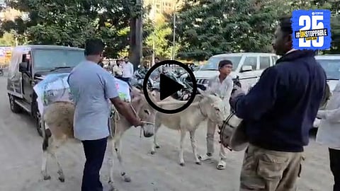 A man in Pune pulls a new Thar SUV using donkeys while drummers play dhol, creating a viral social media moment.