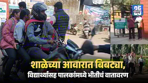 Panic in Nashik as Leopard Seen Inside Bhosala Military School Students Given Half Day Search On