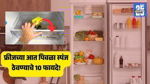 Fridge Hack : फ्रीजच्या आत पिवळा स्पंज का ठेवत आहेत भारतीय लोक? कारण जाणून तुम्हीही वापराल ही देशी ट्रिक
