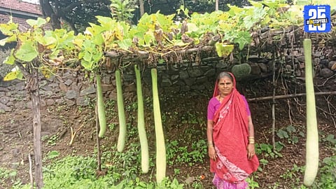 Mamtabai Bhangare proudly displaying the five-foot organic bottle gourd grown through her innovative natural farming techniques.