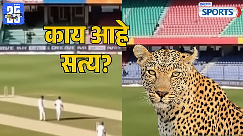 Fact Check: Did a Leopard Really Enter the Ranji Match