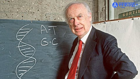 DNA Double Helix Structure