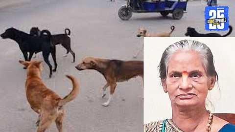 Rabies Death in Kolhapur
