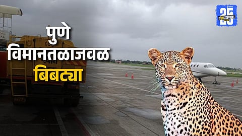 Leopard Sighted Near Pune Airport Runway