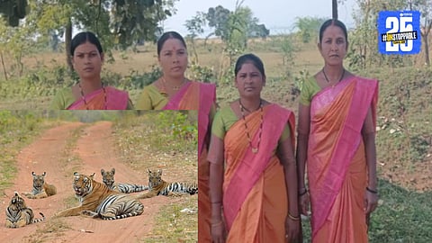 Tiger Women Protect