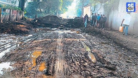 Water Leakage Stops Parikh Bridge