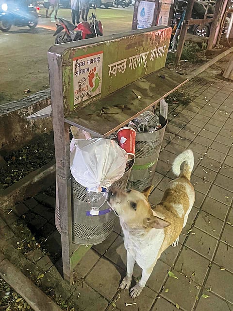 रावेतमध्ये रस्त्यावर कचरा, पालापाचोळा