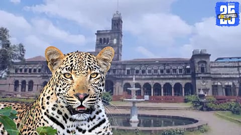 SPPU Issues Advisory on Leopard Sighting