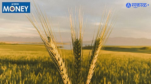 Parametric Crop Insurance India