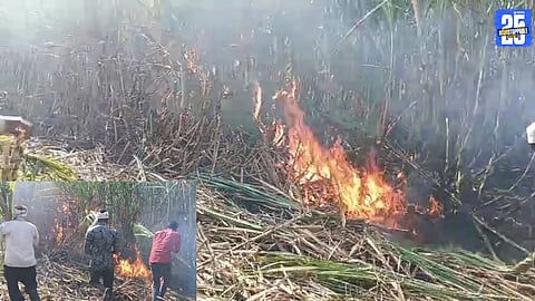 Over 100 Acres of Sugarcane Destroyed in Minutes