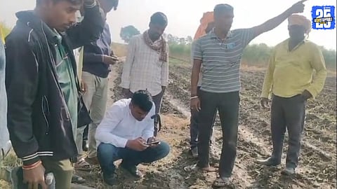 Leopard-Like Animal Spotted in Ibrahimpur Farmland